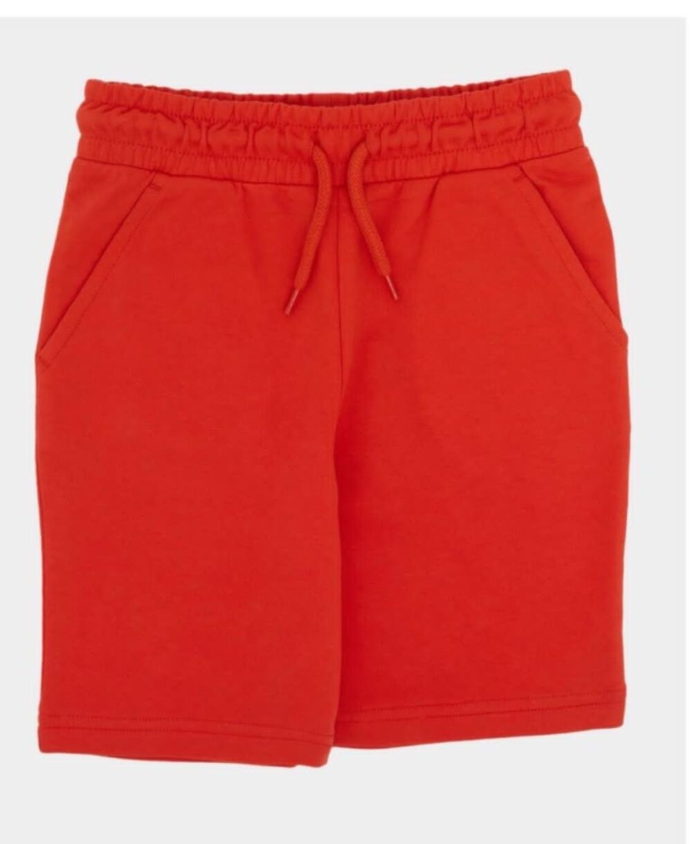 Dunnes Stores Boys' Red Shorts - 2-3 Years